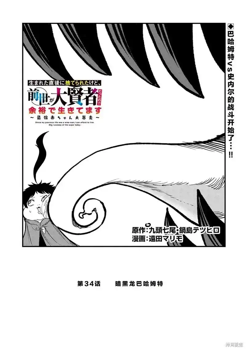 虽然刚出生就被抛弃了，可毕竟前世是大贤者，就淡定地活下去吧 第34话