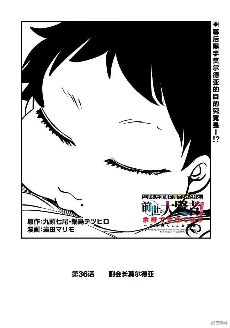 虽然刚出生就被抛弃了，可毕竟前世是大贤者，就淡定地活下去吧 第36话