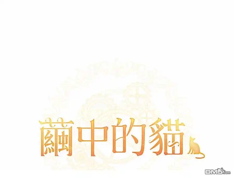 茧中猫 第13话
